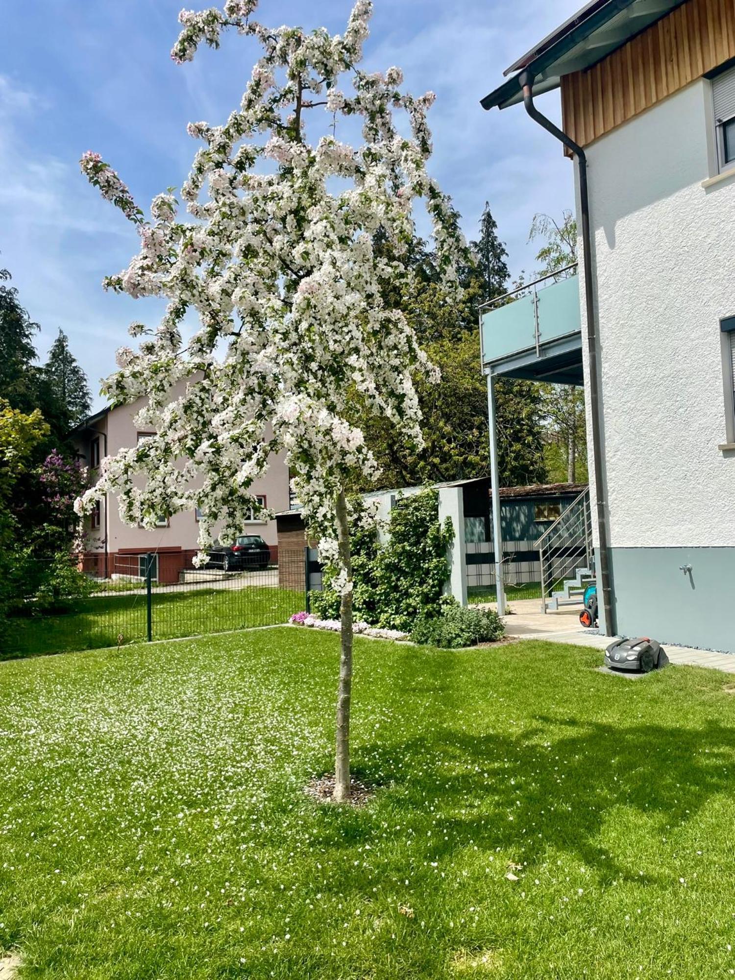 Anitas Ferienwohnung مسكيرش المظهر الخارجي الصورة